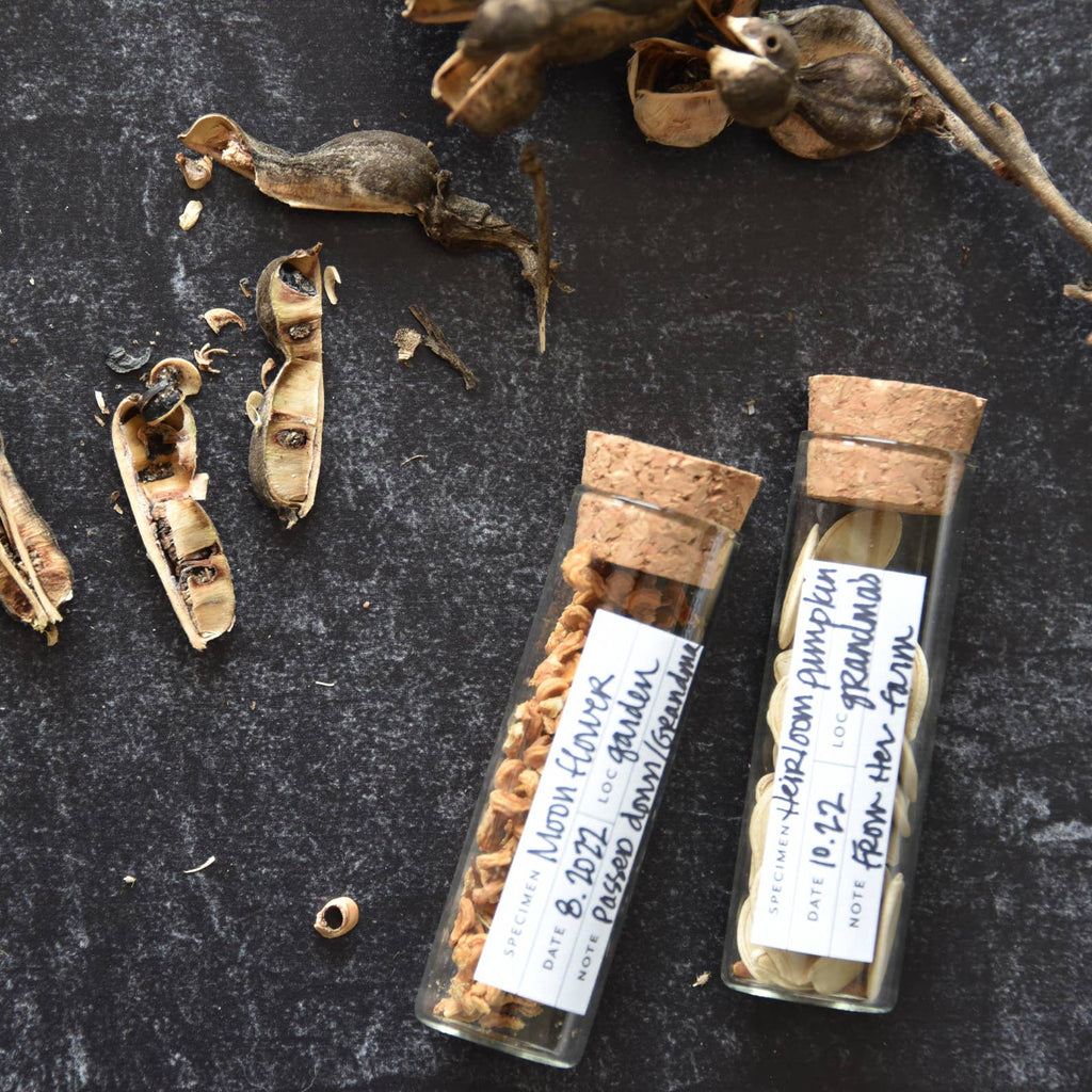 ❦Herbarium nameplate❦ Botanical Specimen Labels – The Floral Society