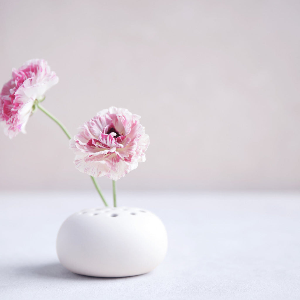 OVAL 【LED FLOWER VASE】 Ceramic Oval Flower Frog – The Floral Society