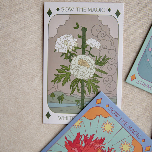 Tarot Flower Seed Packets