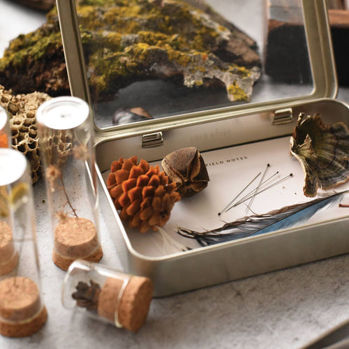 Specimen & Seed Collecting Kit