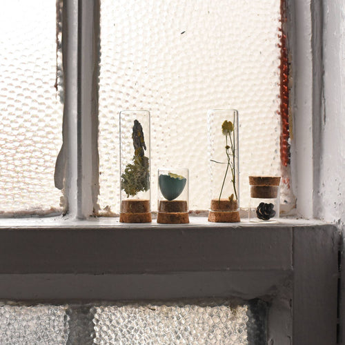 Specimen & Seed Collecting Kit