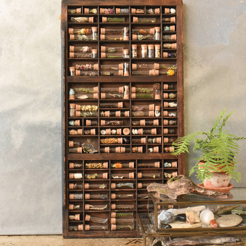 Specimen & Seed Collecting Kit