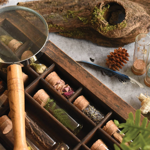 Specimen & Seed Collecting Kit