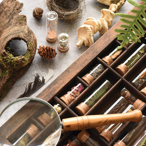 Specimen & Seed Collecting Kit