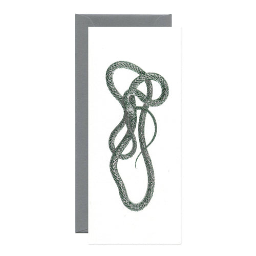 Natural World Greeting Cards