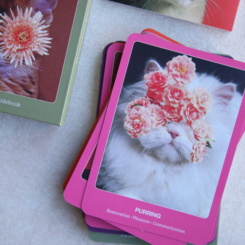 Oracles-Card Deck and Guidebooks