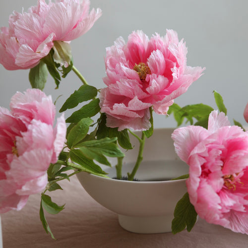 Ceramic Compote Vase