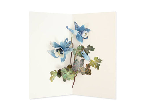 Hiromi Takeda's Floral Pop-Up Cards