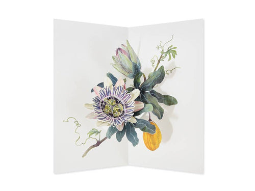 Hiromi Takeda's Floral Pop-Up Cards