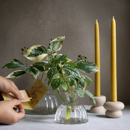 Beeswax Dipped Tapers Spring Olive