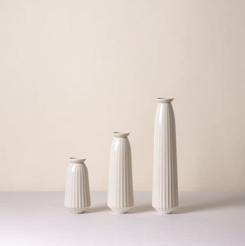 Bergs Pottery Cove Plant Hydration