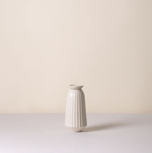 Cove Water Hydration