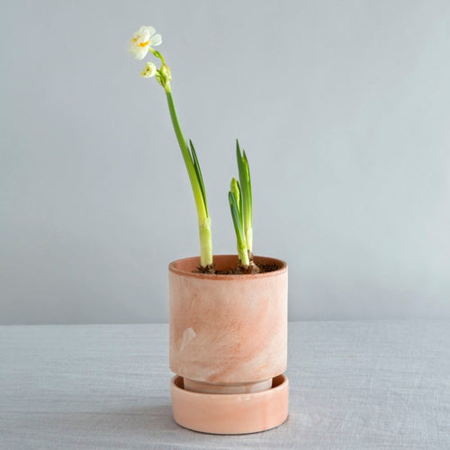 hoff plant pot Hoff Planter & Saucer