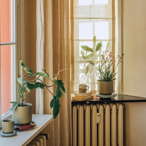 Lily Pot & Saucer Set