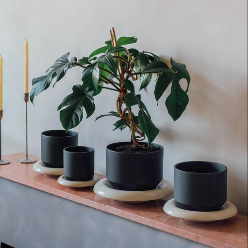 Lily Pot & Saucer Set