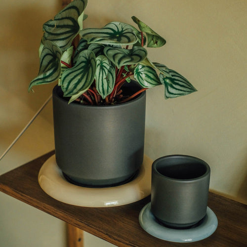 planter saucer set Lily Pot & Saucer Set