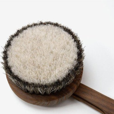 BodyBrushSoftHardnessAshWoodJapan