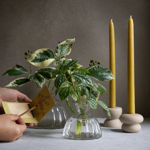 Botanic Matchbook Citrine