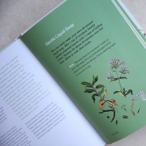 Herbal Handbook