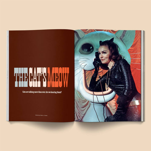 Catnip Broccoli Magazine