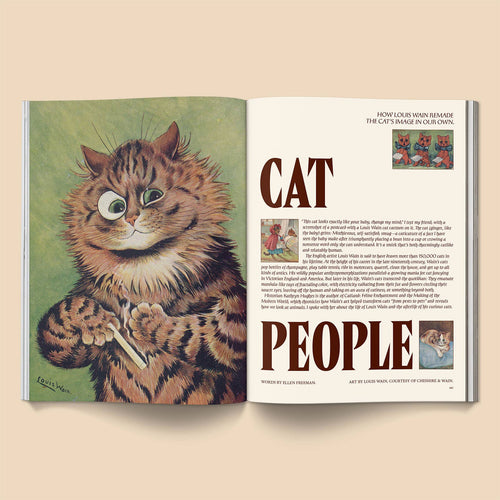 Catnip Broccoli Magazine