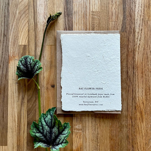 Handmade Flower Pressed Cards