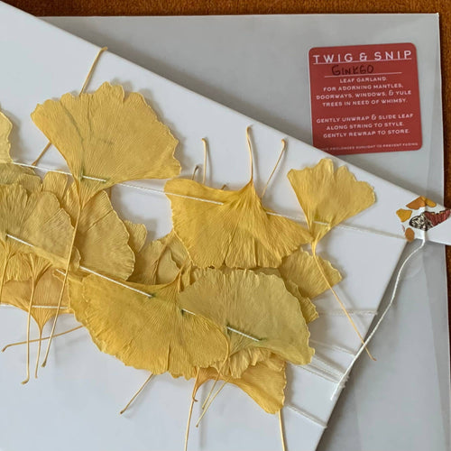 Dried Ginkgo Leaf Garland