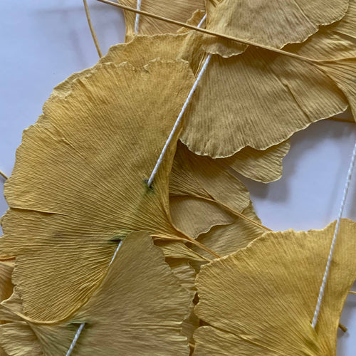 Dried Ginkgo Leaf Garland
