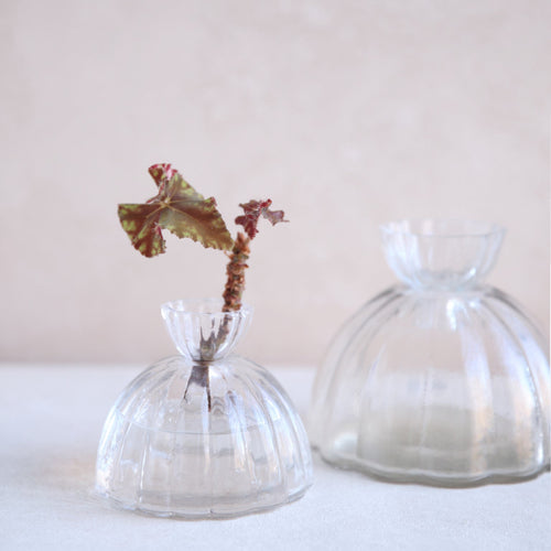 Glass Root Propagation Vase 3