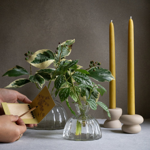 Glass Root Propagation Vase 