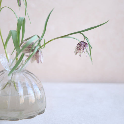 Glass Root Propagation Vase and Bud Vase