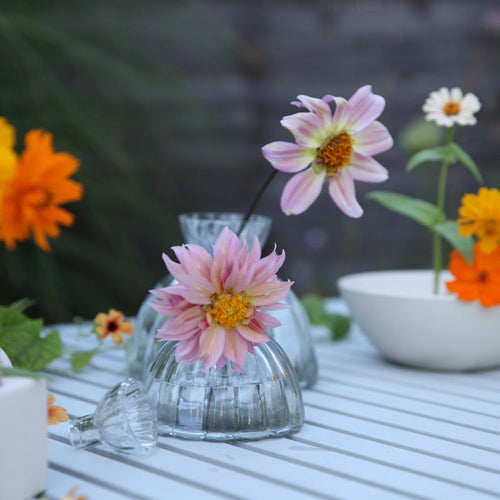 Glass Root Vase_The Floral Society