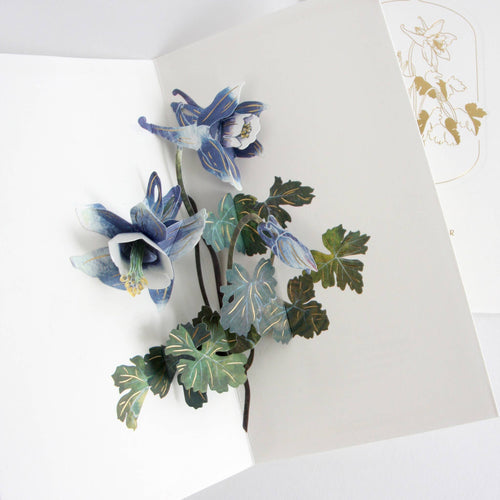 Hiromi Takeda's Floral Pop-Up Cards_Columbine