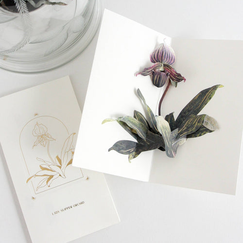 Hiromi Takeda's Floral Pop-Up Cards_Lady Slipper Orchid