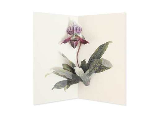 Hiromi Takeda's Floral Pop-Up Cards_Orchid