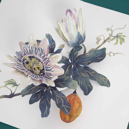 Hiromi Takeda's Floral Pop-Up Cards_Passion Vine