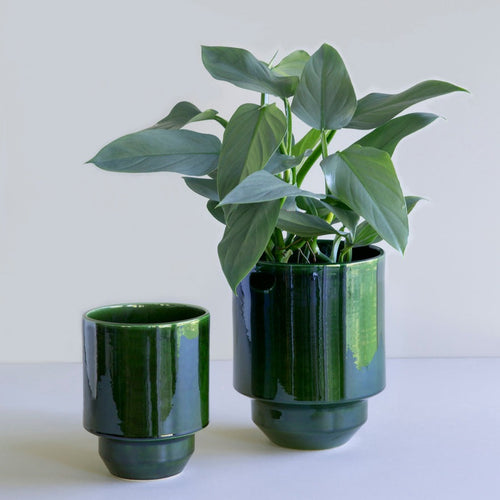 Hoff Collection Pot & Saucer, Emerald Green