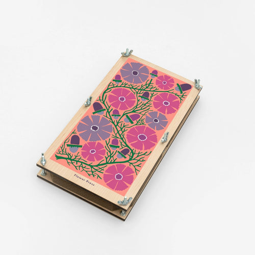 Large_Flower_Press_Cosmos