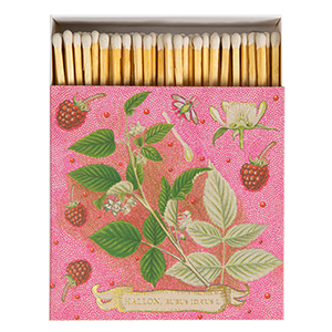 Luxury Matches Archivist Rasberries