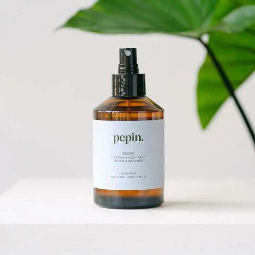 Pepin_Plant_Care_Brume