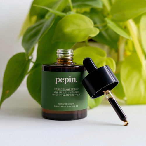 Pepin_Plant_Care_Houseplant_Serum
