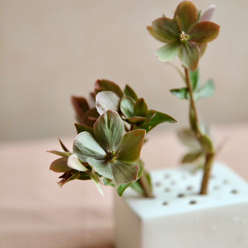 Rectangular Flower Frog Vase