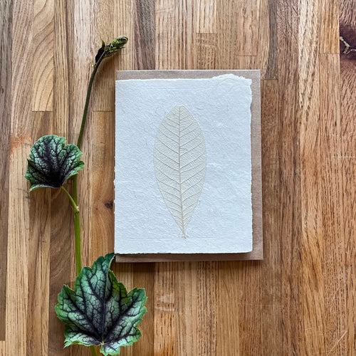 Handmade Flower Pressed Cards