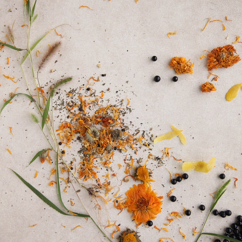 Solstice Botanical Tea Blend