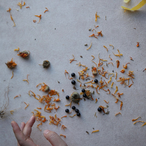 Solstice Botanical Tea Blend