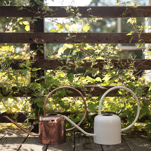 Stainless Steel Watering Can_White_Copper