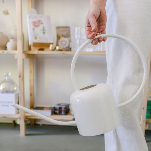 Stainless Steel White Watering Can