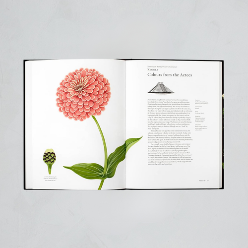 The Story of Flowers: And How They Changed the Way We Live