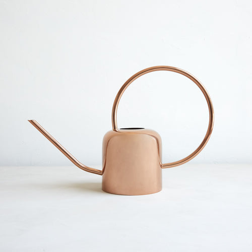 watering cans for house plants The Floral Society Watering Can, White