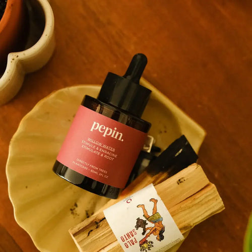 Pepin Plant Care